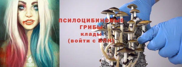 гашик Баксан