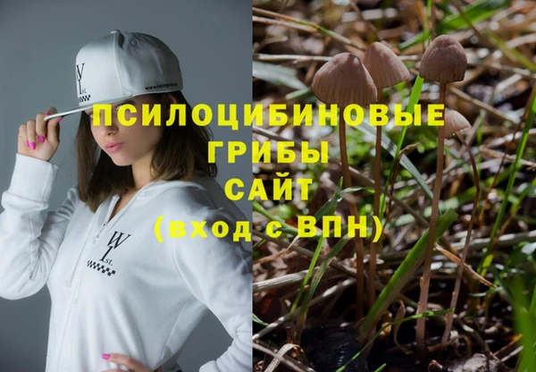 гашик Баксан