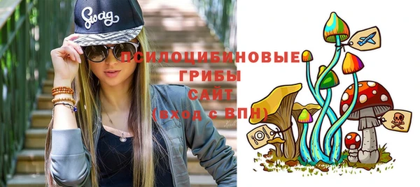 спиды Саяногорск