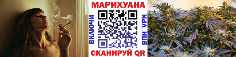 Конопля план  гидра ONION  Сковородино 